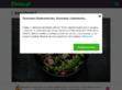 Podgl�d stron internetowych