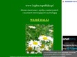 Podgl�d stron internetowych
