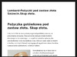 Podgl�d stron internetowych