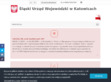 Podgl�d stron internetowych