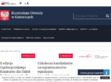 Podgl�d stron internetowych