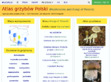 Podgl�d stron internetowych