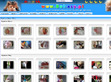 Podgl�d stron internetowych