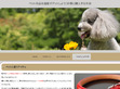 Podgl�d stron internetowych