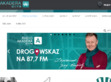 Podgl�d stron internetowych