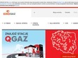 Podgl�d stron internetowych