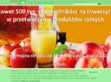 Podgl�d stron internetowych