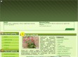 Podgl�d stron internetowych