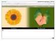 Podgl�d stron internetowych